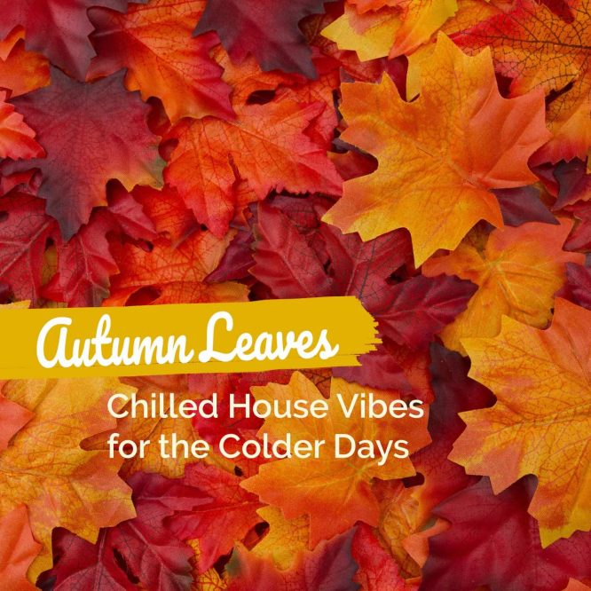 Various Artists Autumn Leaves Chilled House Vibes For The Colder Days 666x666